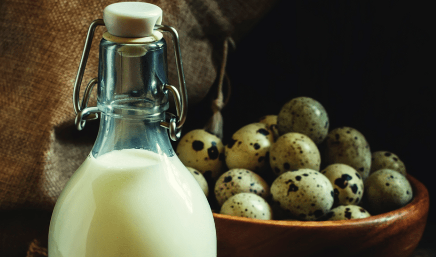 DAIRY PRODUCTS